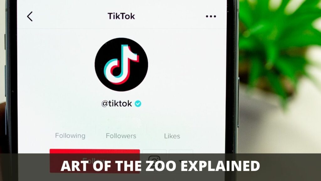 ART OF THE ZOO EXPLAINED