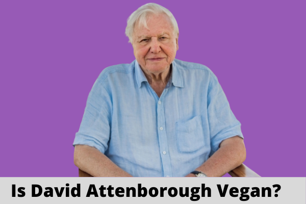 Is David Attenborough Vegan?