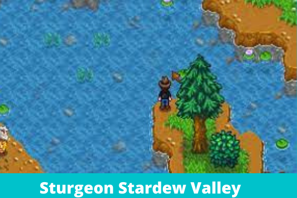 Sturgeon Stardew Valley