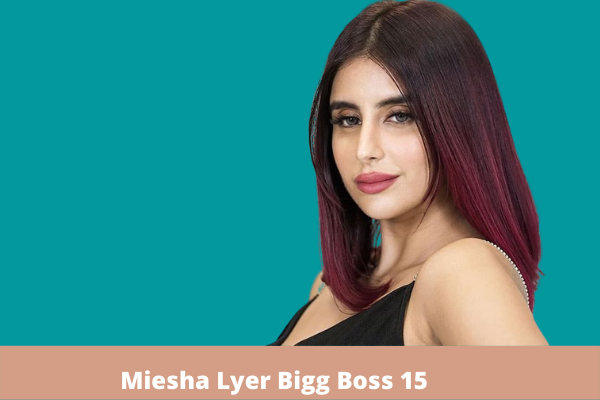 Miesha Iyer bigg boss 15