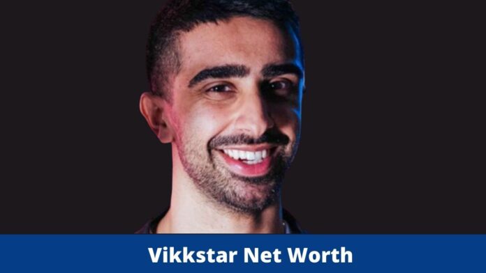 Vikkstar Net Worth