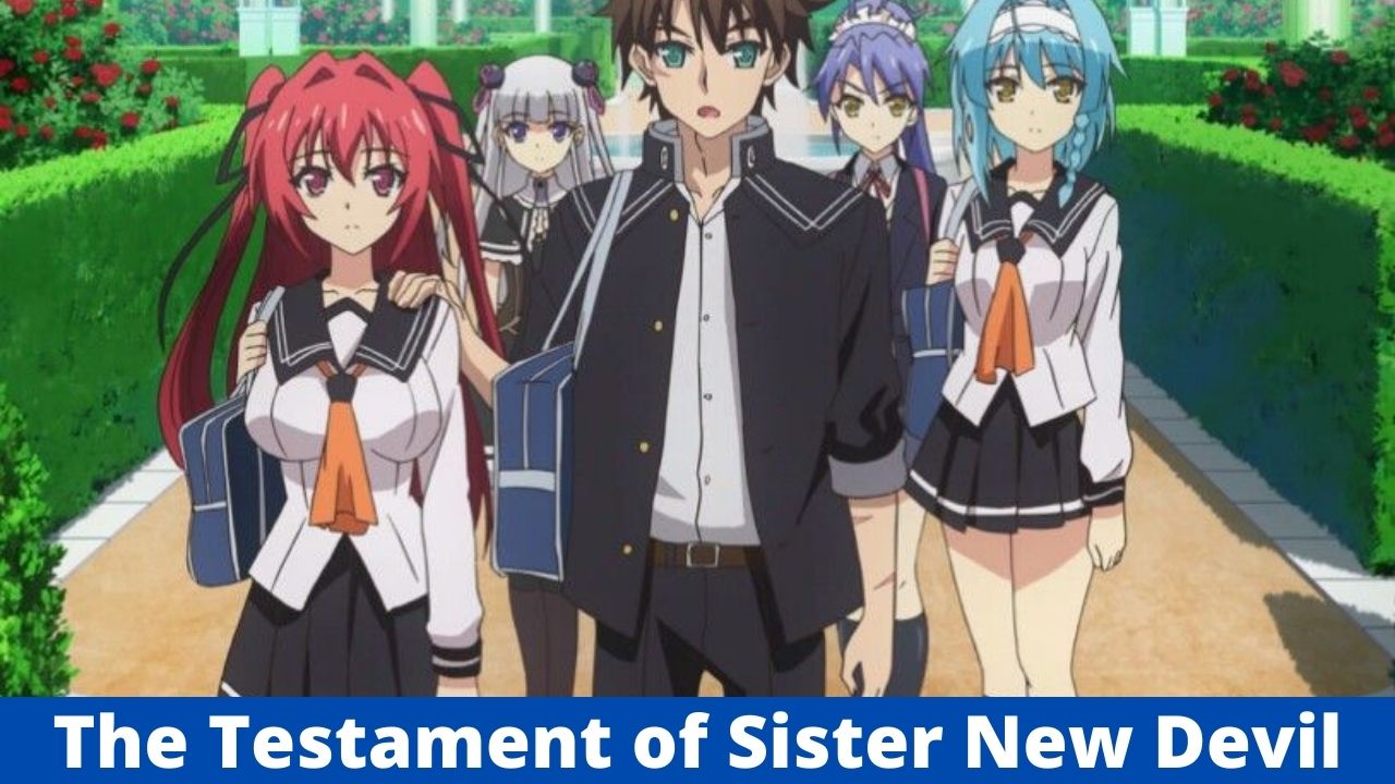 The Testaments Of Sister New Devil