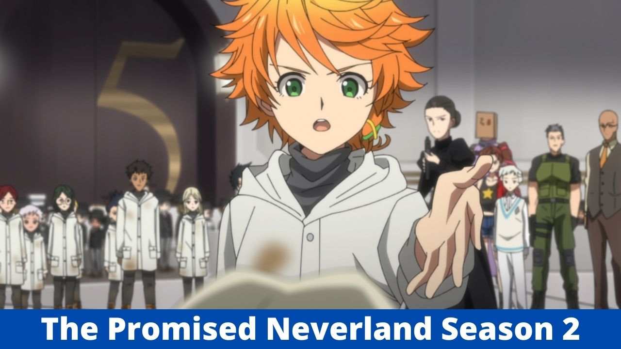 Promised Neverland: Season 2 Latest Updates! - Alpha News Call