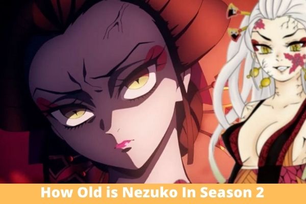 How Old is Nezukon in season 2