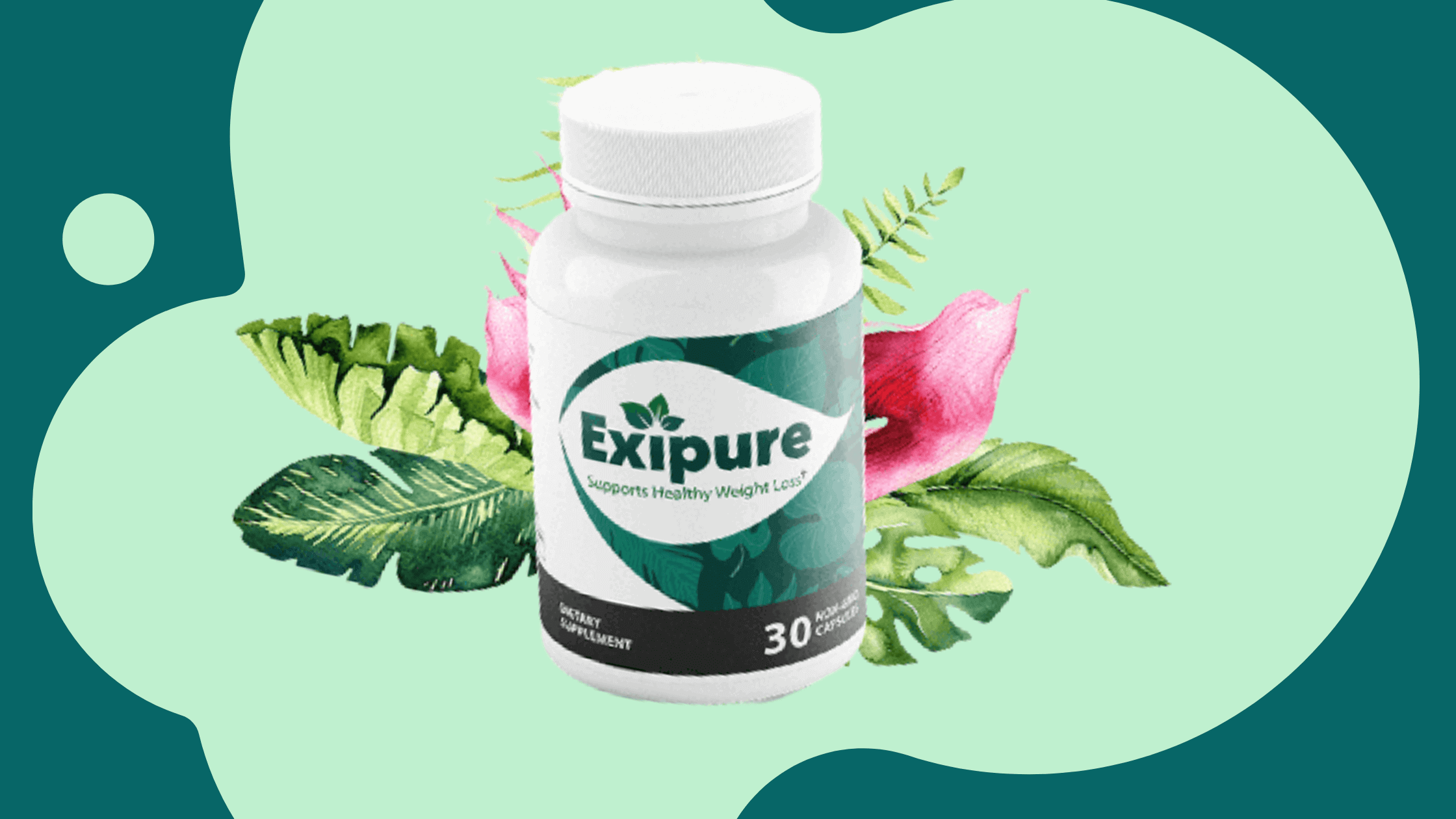 Unlocking the Benefits of Exipure Ingredients: An Overview