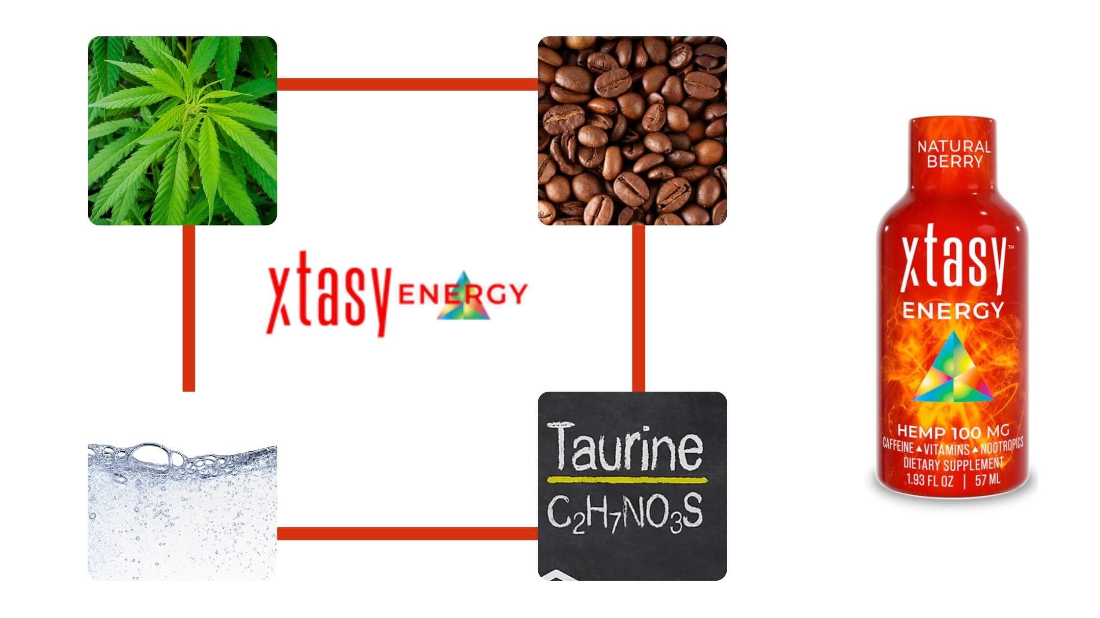 Xtasy Energy Ingredients