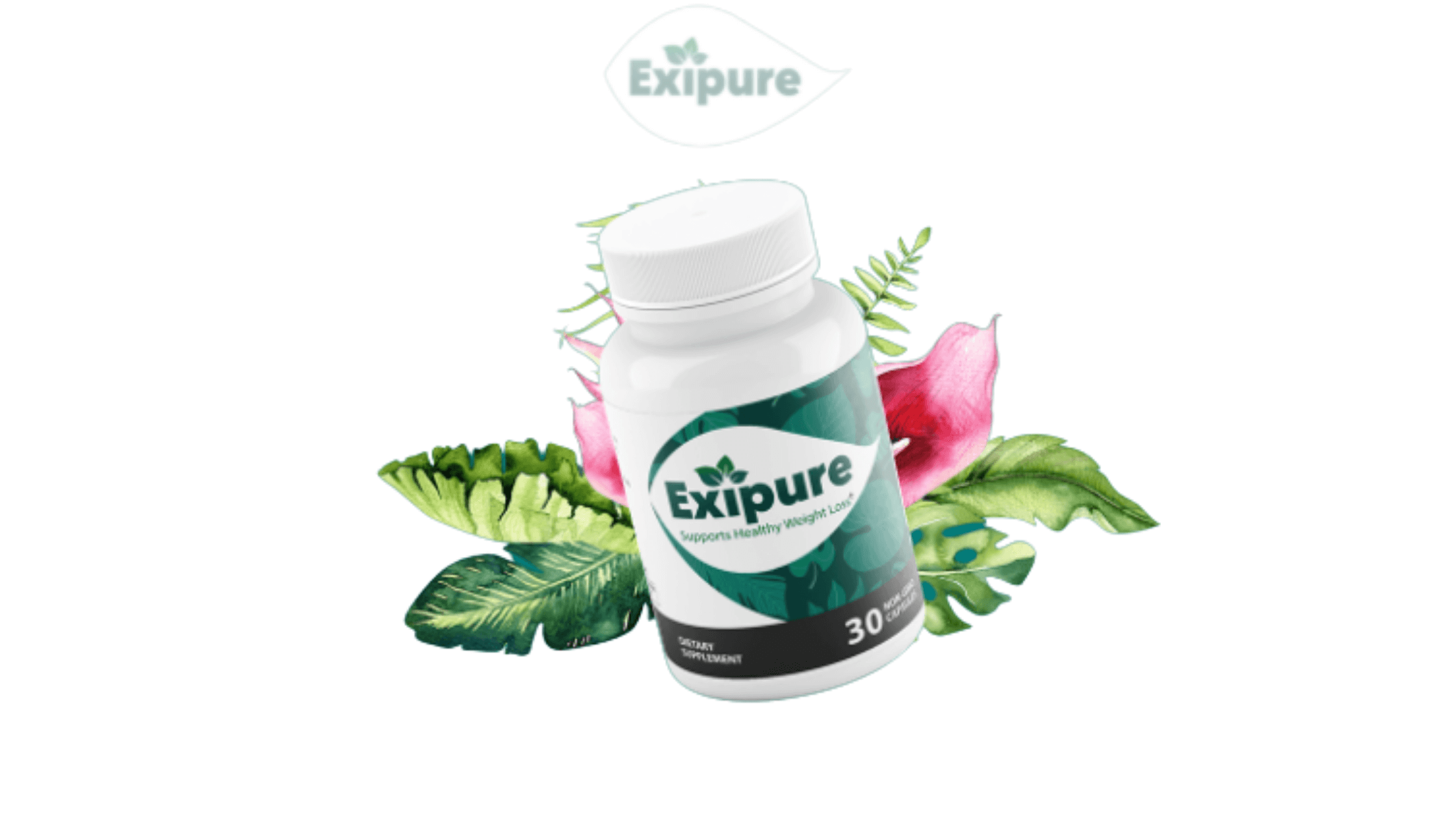 Exipure Supplement