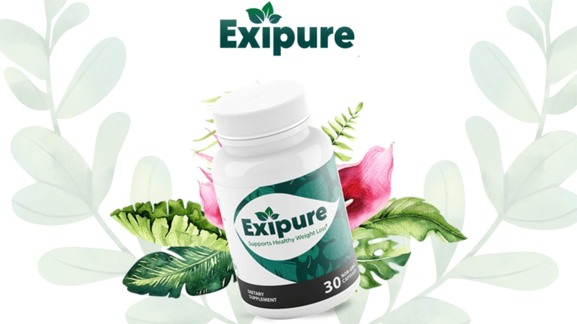 Exipure Supplement Reviews