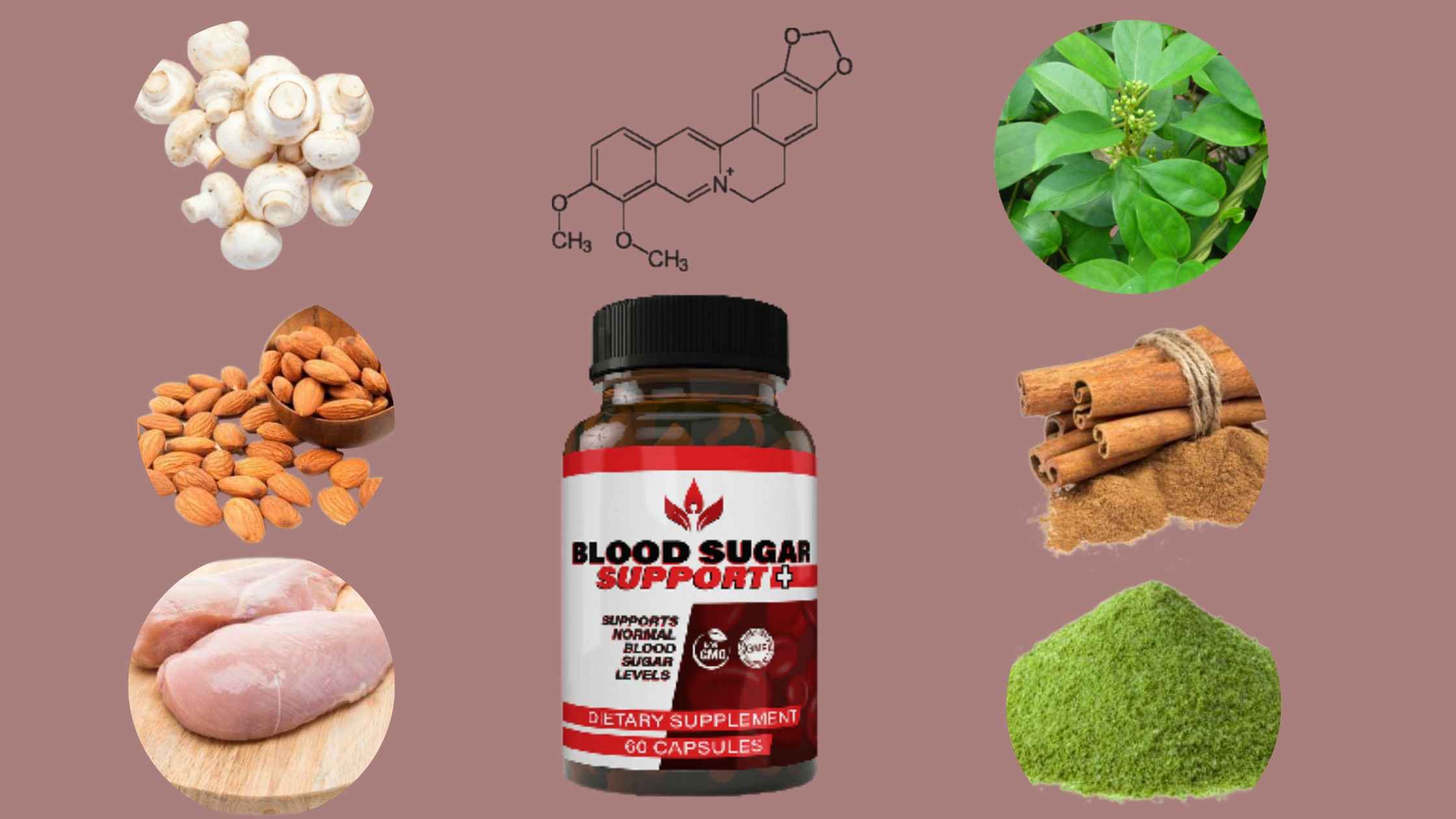 Blood-Sugar-Support-Plus-Ingredients