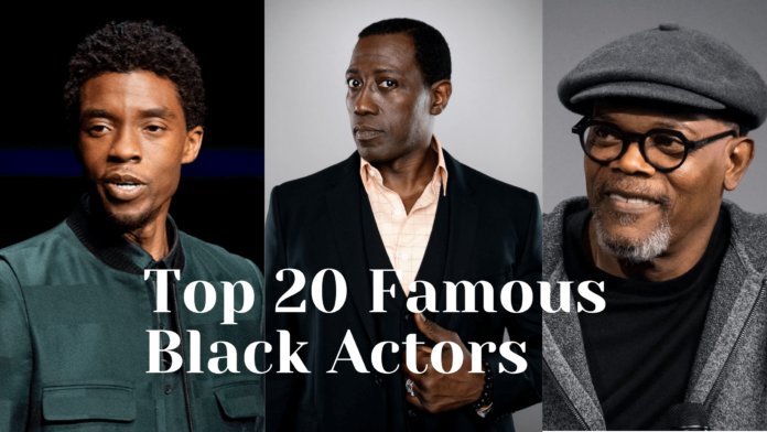 Top 20 Famous Black Actors You Should Know!!!