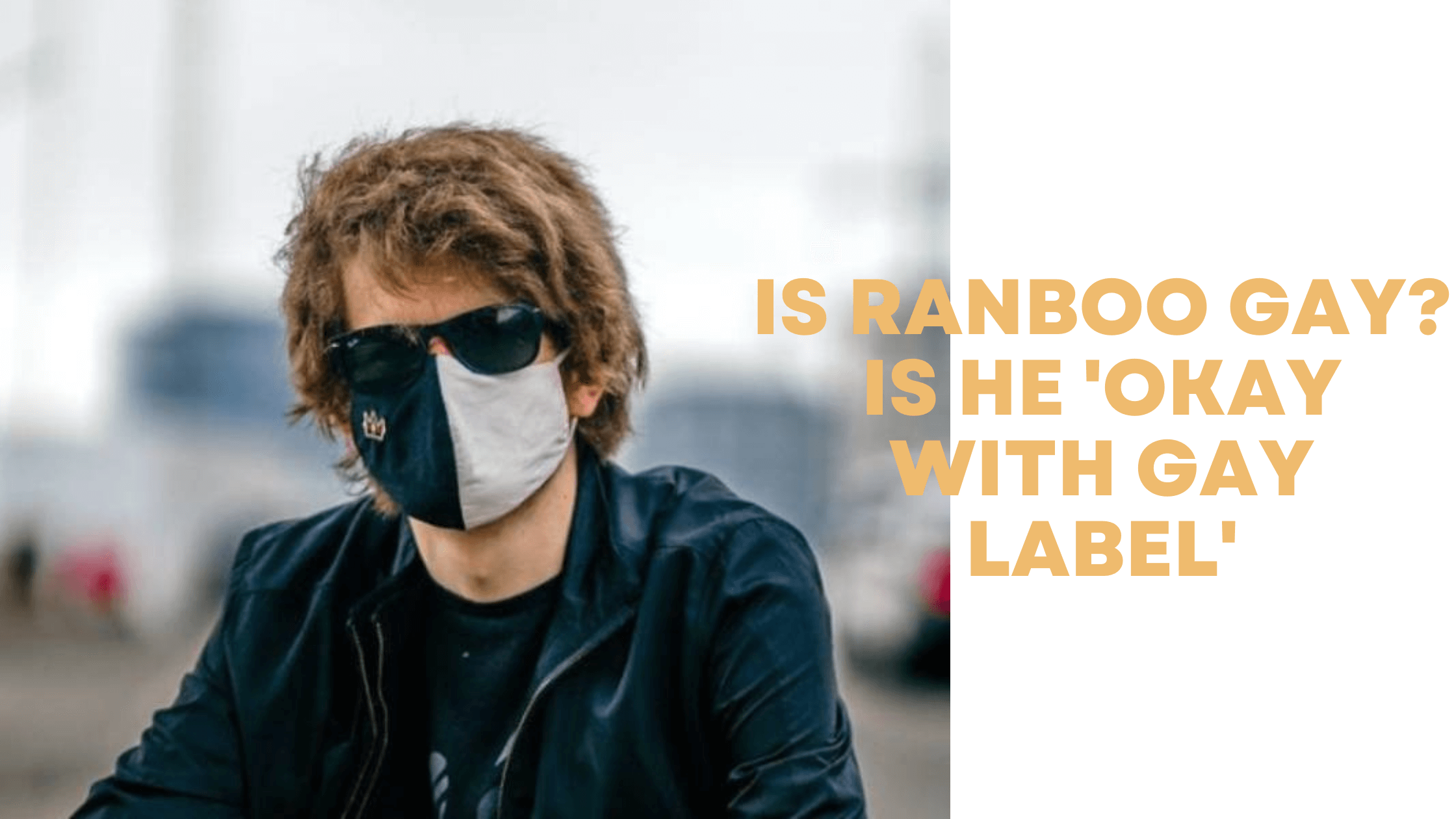 Is Ranboo Gay? Is He 'Okay With Gay Label'?