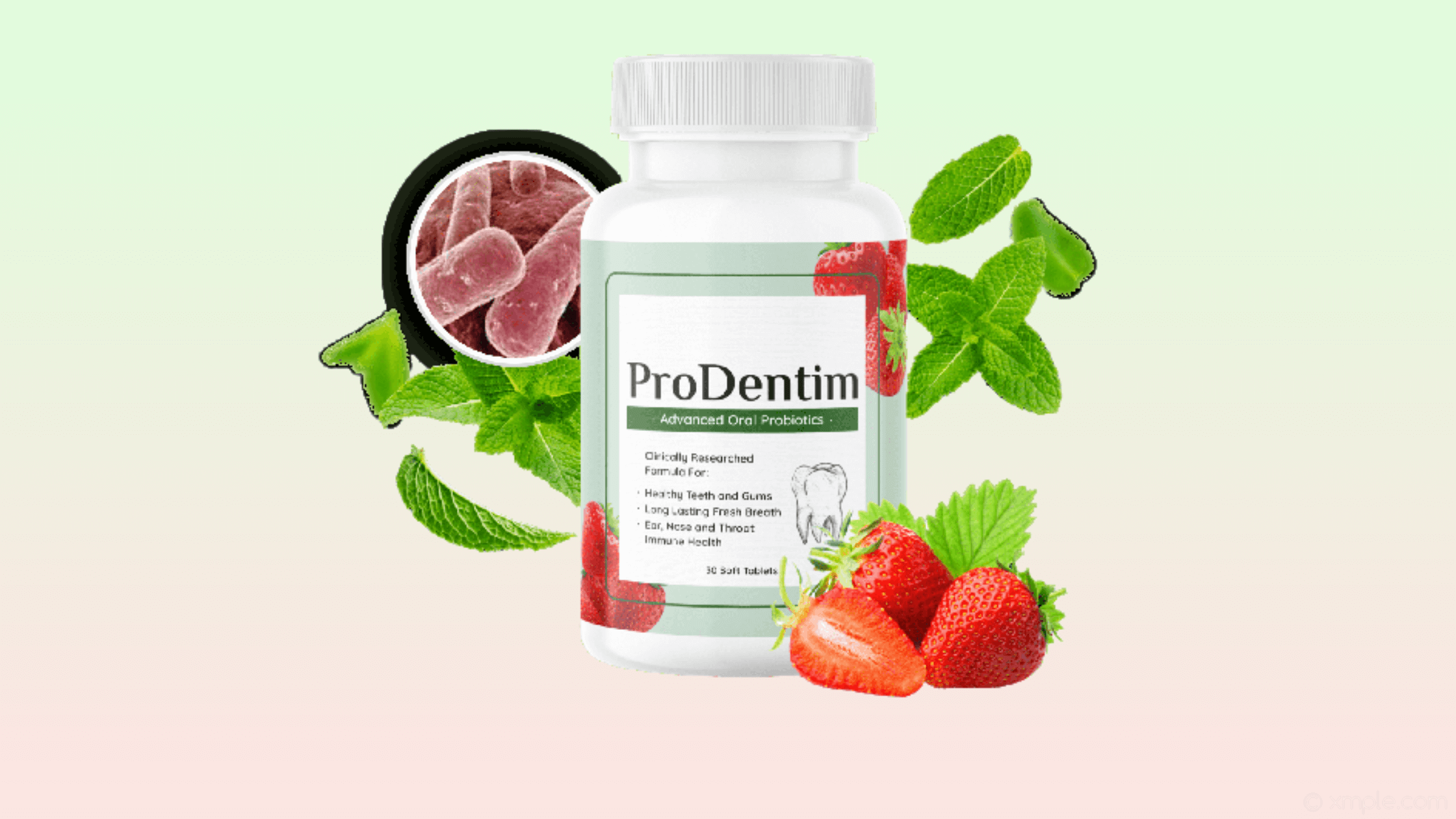 ProDentim Dental Care Supplement