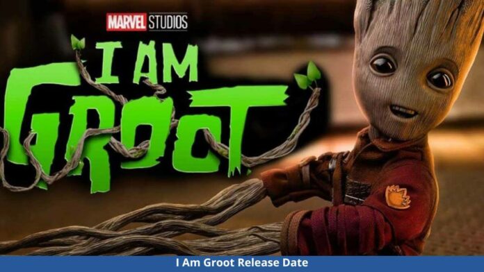 I Am Groot Disney+ Release Date Revealed!! Cast, Trailer, Plot And More