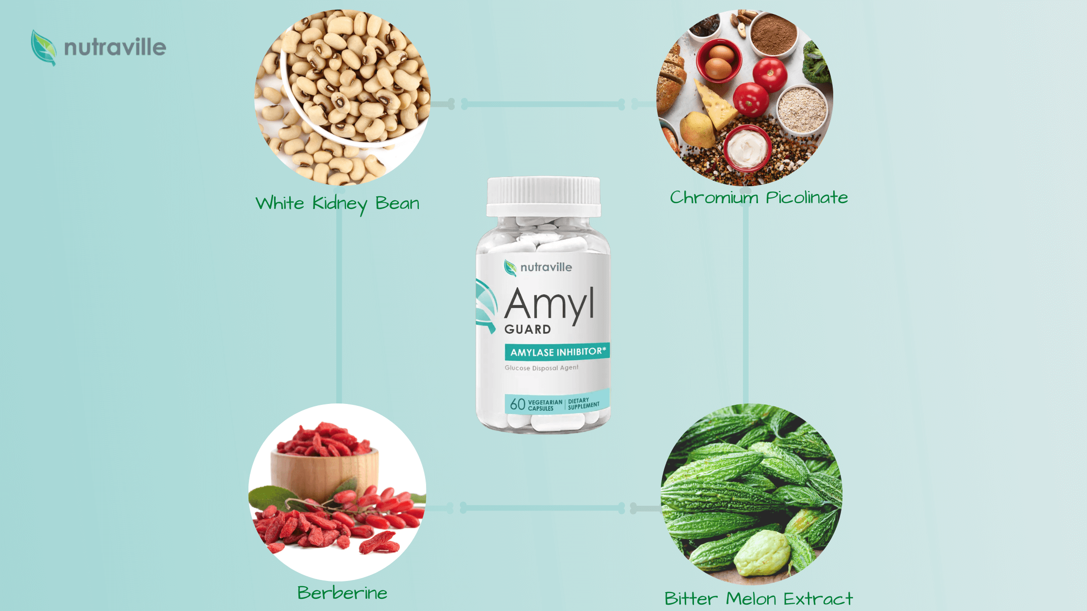 Nutraville Amyl Guard Ingredients