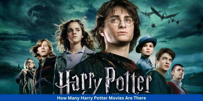 How Many Harry Potter Movies Are There?