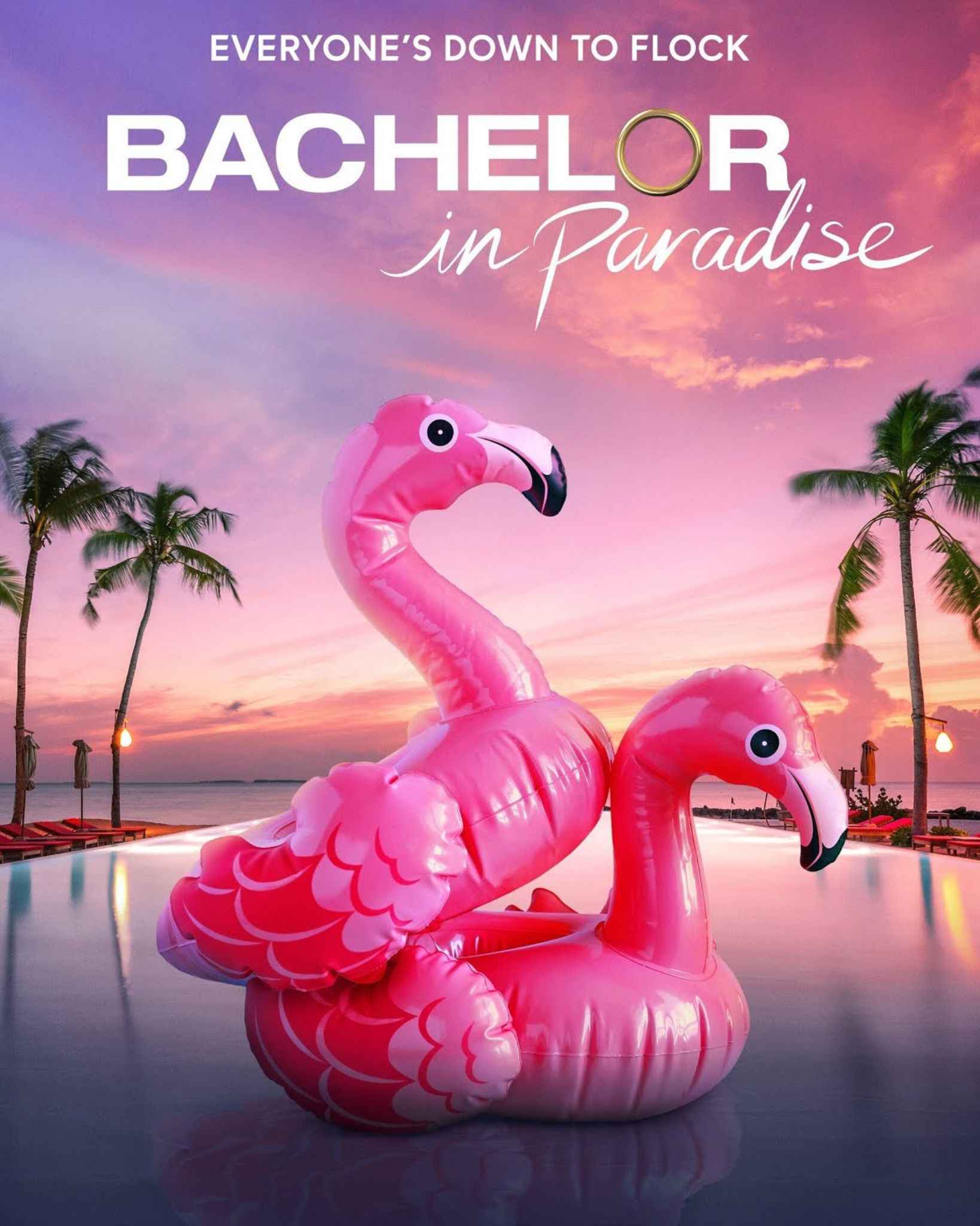 Bachelor In Paradise Season 8