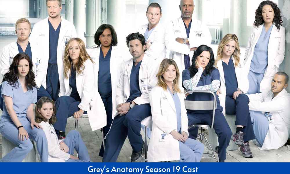 Grey's Anatomy Season 19 Cast