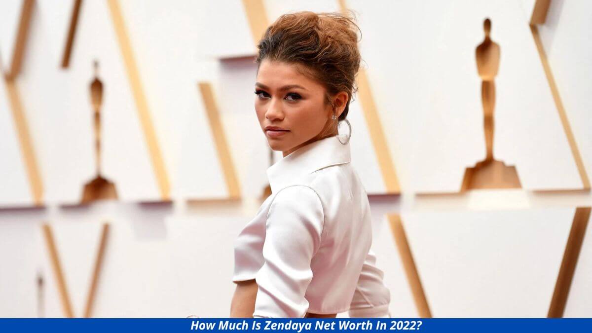 How Much Is Zendaya Net Worth In 2022 Income