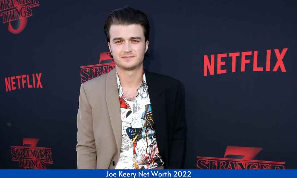 How Much Is Joe Keery Net Worth In 2022? Income, Bio & More!