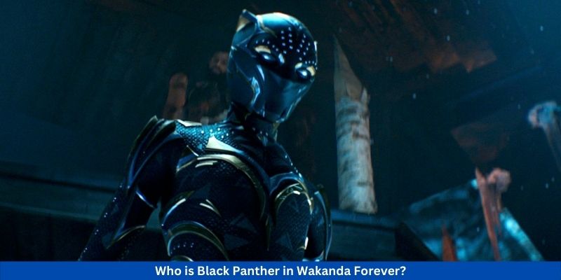 Who is Black Panther in Wakanda Forever