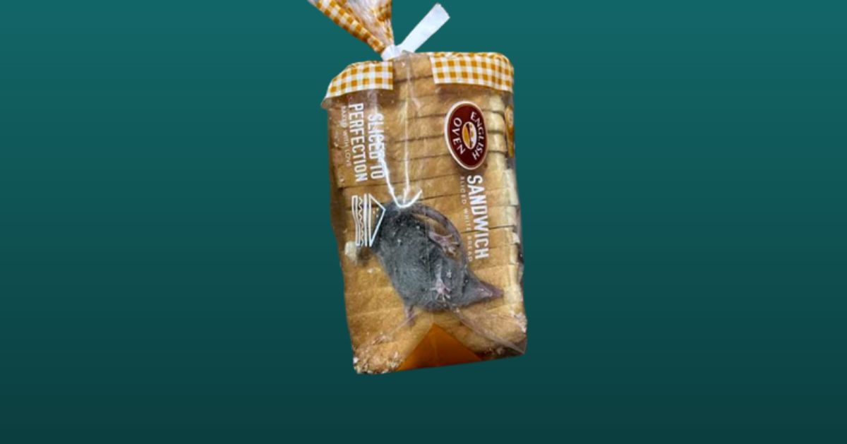 Blinkit delivers a bread packet with a live rat